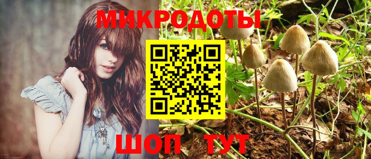 Ипатово  Псилоцибиновые грибы мицелий  Вход с VPN  Псилоцибиновые грибы Psilocybe 