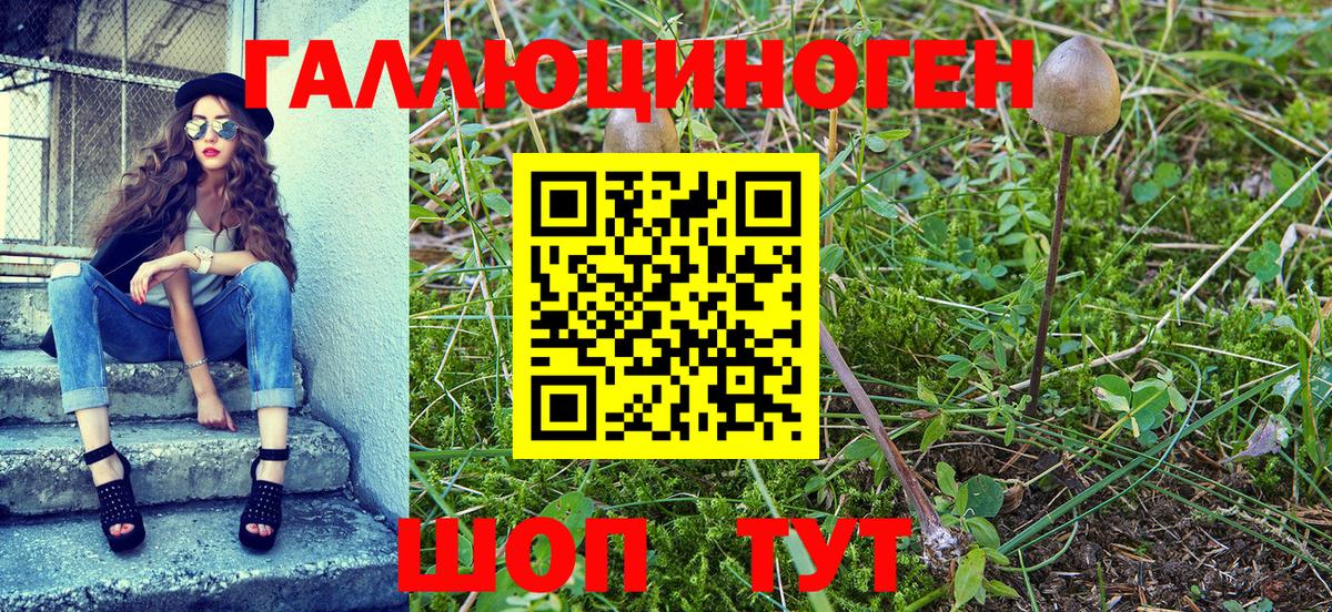 Галлюциногенные грибы Magic Shrooms Ипатово